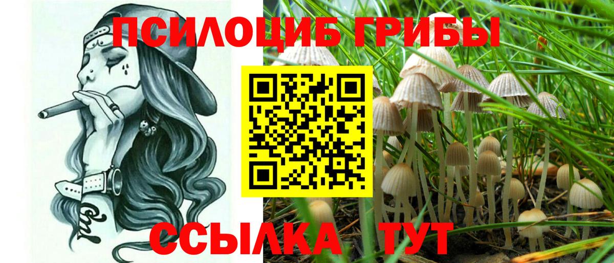 Верхняя Пышма  Псилоцибиновые грибы MAGIC MUSHROOMS  Вход с VPN  хочу   Псилоцибиновые грибы мицелий 