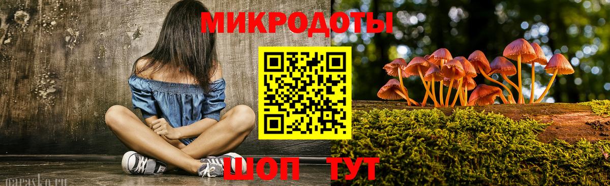 Галлюциногенные грибы прущие грибы Верхняя Пышма